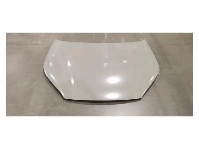 Hoods, tailgates and roof · 前舱盖总成